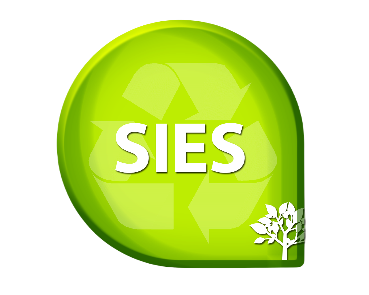 CSO-SIES